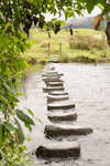 Rydal Stepping Stones