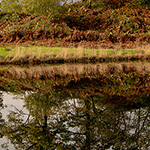 Elterwater Reflection